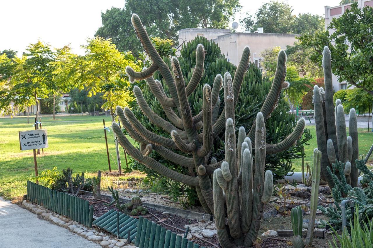 Hotel Degania Bet Kibbutz Country Lodging Kinneret Zewnętrze zdjęcie