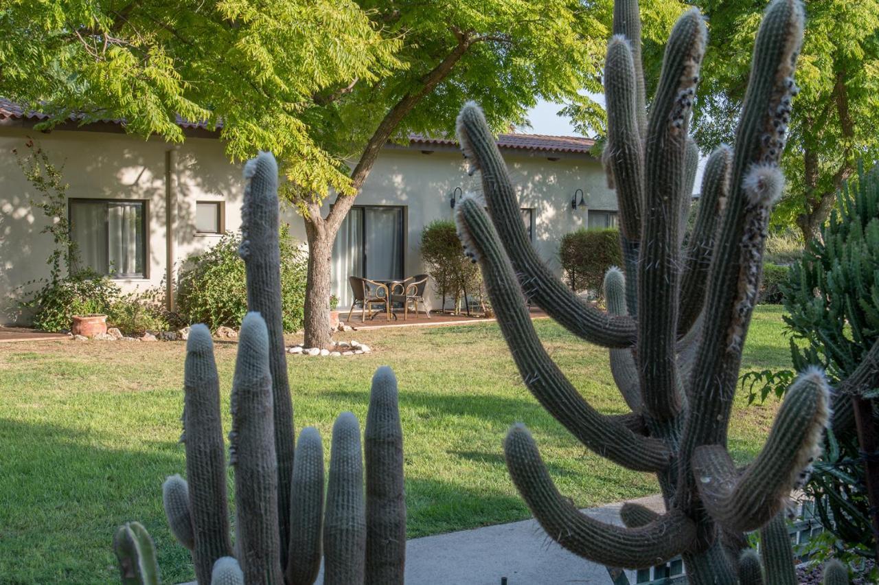 Hotel Degania Bet Kibbutz Country Lodging Kinneret Zewnętrze zdjęcie